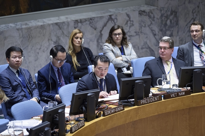 Vietnam backs long-term solution to Middle East peace process:Ambassador Pham Hai Anh